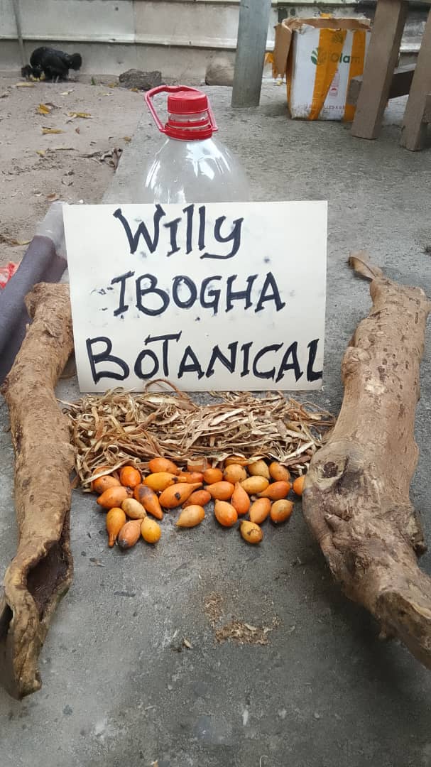 Willi Ibogha Botanicals