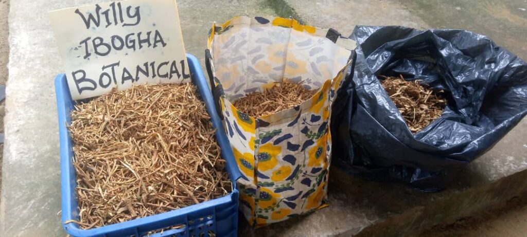 Willy Iboga Botanicals