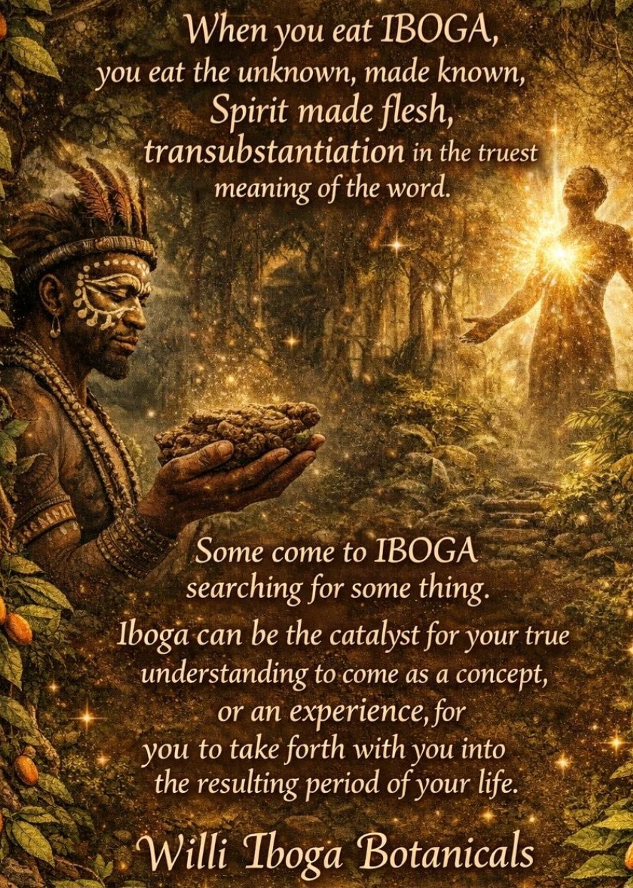 When you eat IBOGA