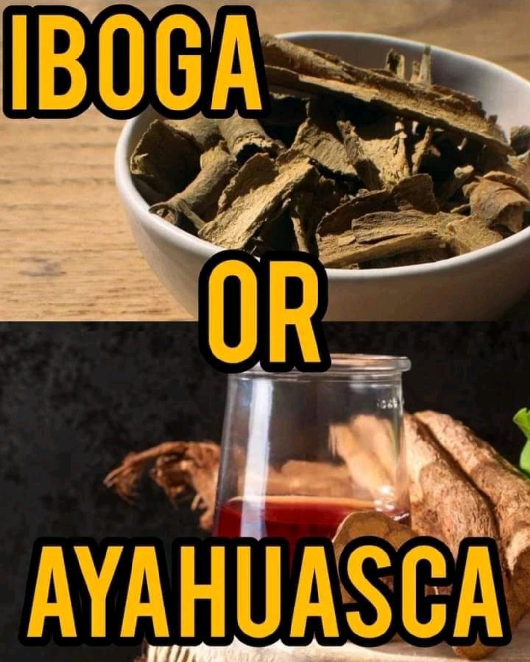 The Difference Between Ayahuasca And Iboga